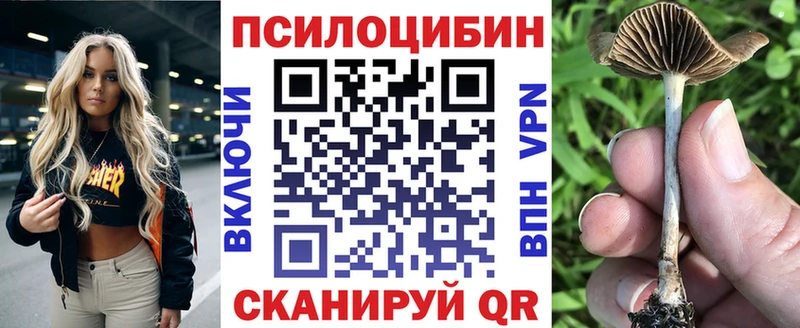 Галлюциногенные грибы MAGIC MUSHROOMS  закладки  Ядрин 