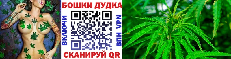 Канабис сатива  MEGA   Ядрин  маркетплейс Telegram  купить наркотики сайты 